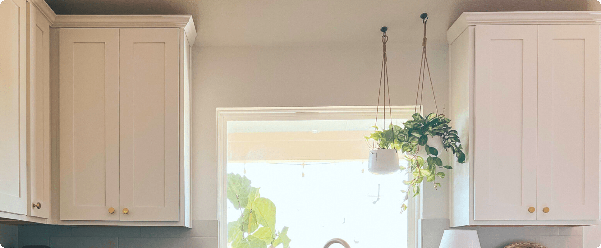 How to Hang Plants From the Ceiling {It’s Easy, I Promise!}